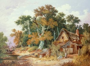 कुटीर के साथ वुडलैंड दृश्य